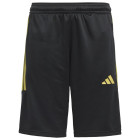 BLACK/GOLDMT